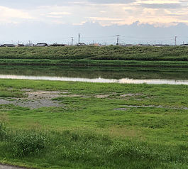 佐賀インターナショナル バルーンフェスタ 臨時オートキャンプ場 風景写真